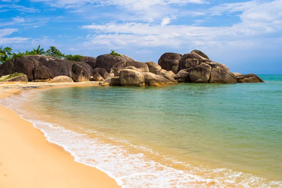 202104081611529739.png image.png