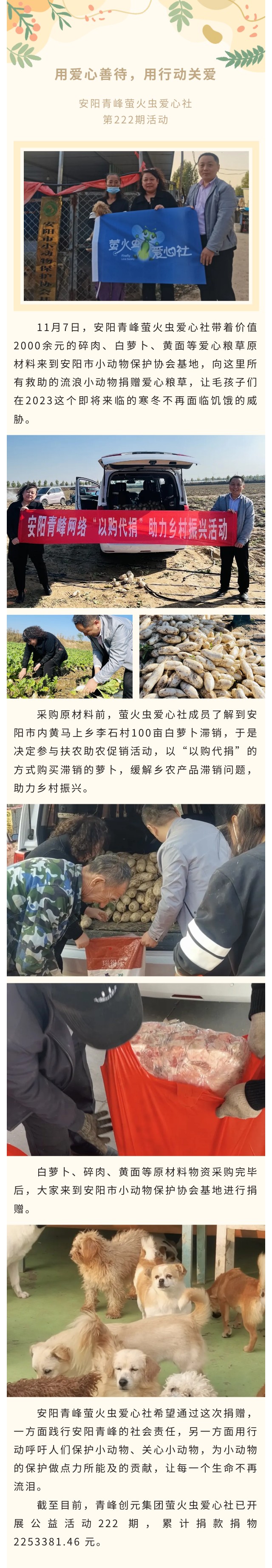 用愛心善待,用行動關愛--青峰創元集團螢火蟲愛心活動第222期報道